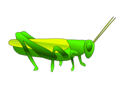 Download free animal insect grasshopper icon